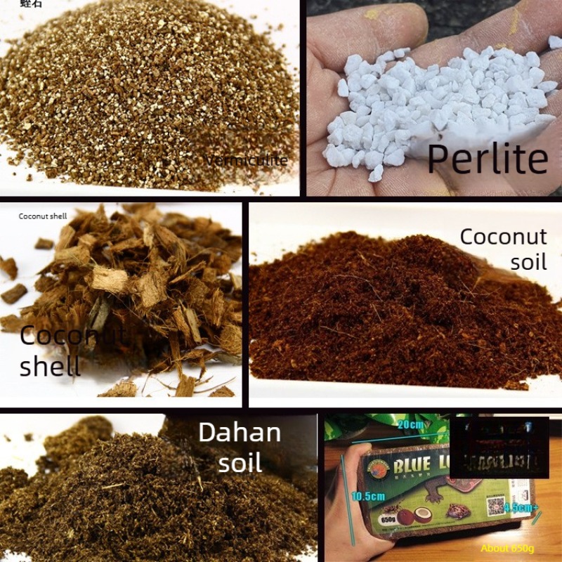 Substrate Coconut Fiber - Briques de fibre de coco pour