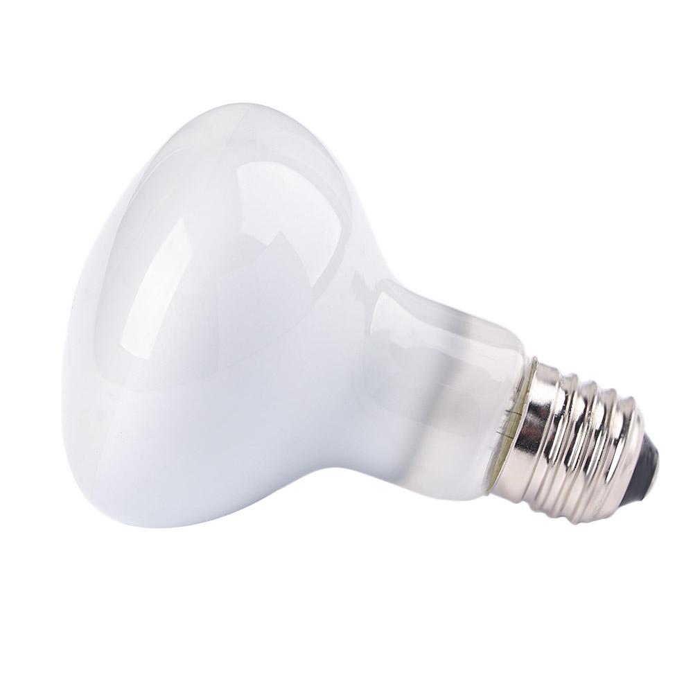 Lampe chauffante pour lézards, - Basking Bulb Halogen avis et prix