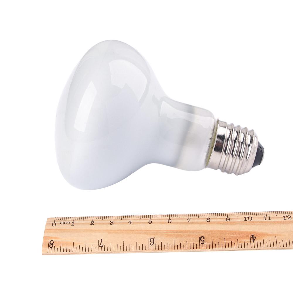 Lampe chauffante pour lézards, - Basking Bulb Halogen avis et prix