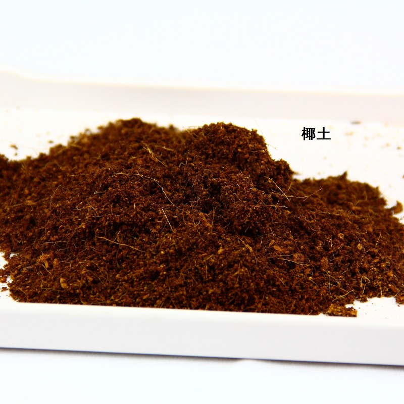 Briques de fibre de coco pour  - Substrate Coconut Fiber avis et prix