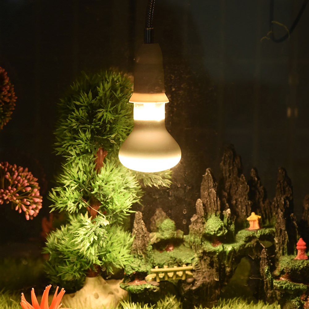 Lampe chauffante pour amphibie - Basking Bulb Halogen avis et prix