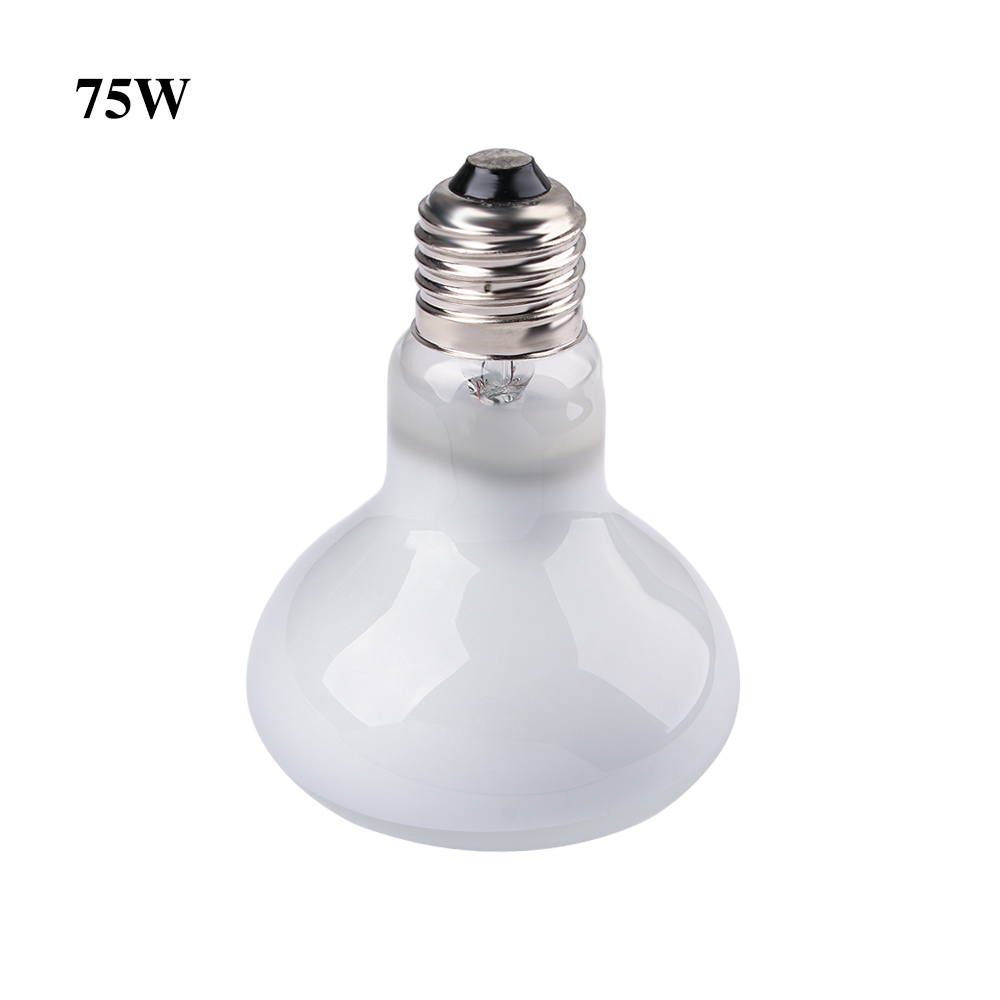 Lampe chauffante pour tortue,  - Basking Bulb Halogen avis et prix